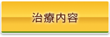 治療内容